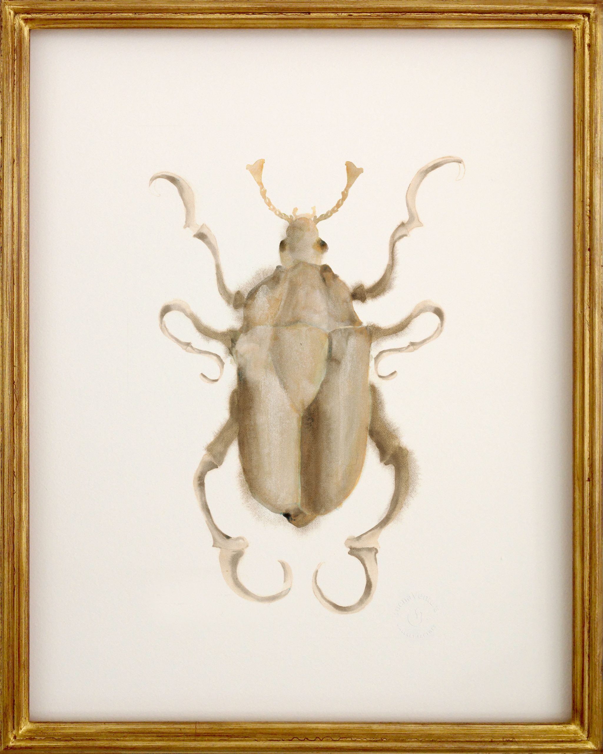 Lámina “SCARABEO” pintada a mano sobre papel natural 100% algodón de 200gr.