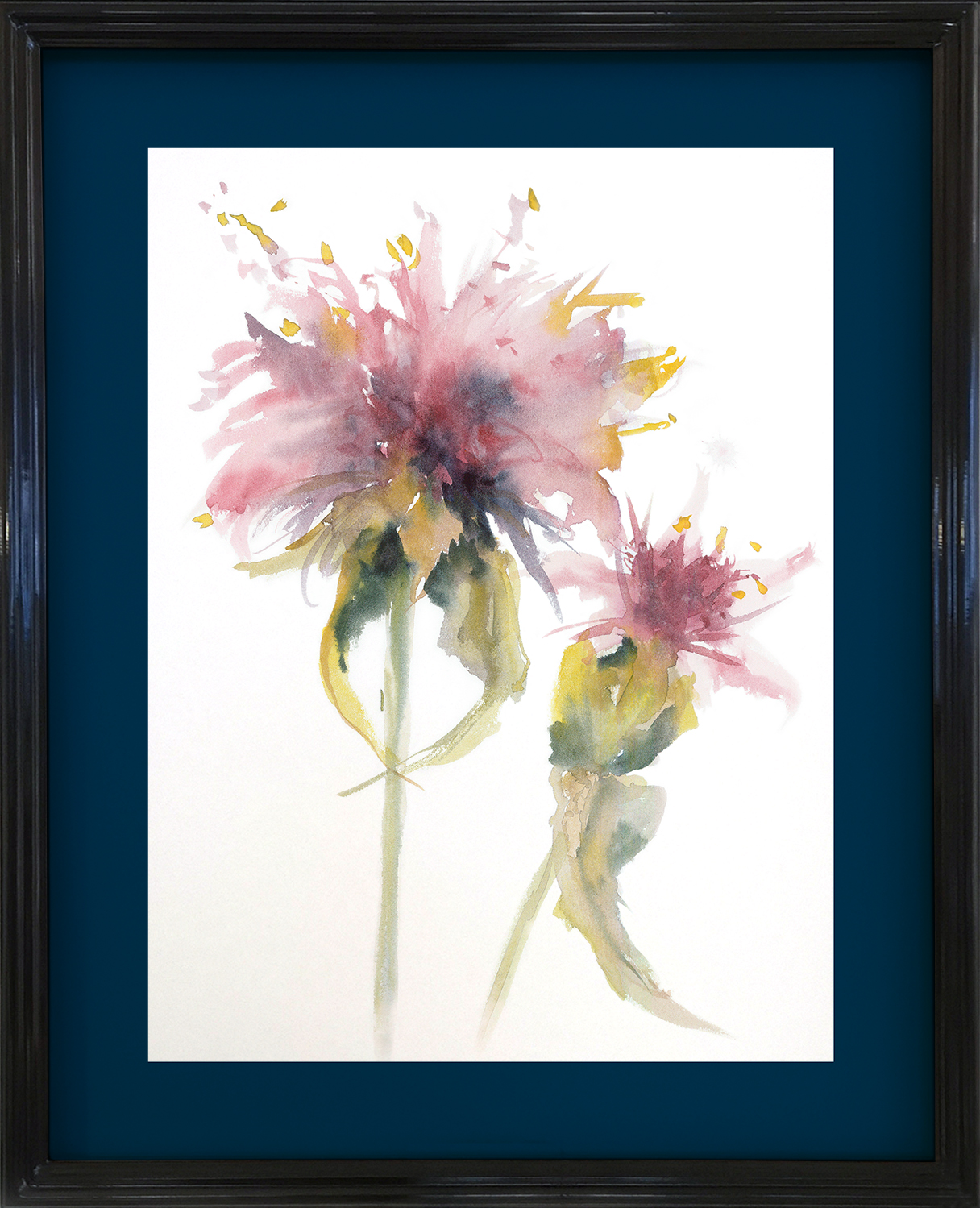 Cynara Rosa I | acuarela