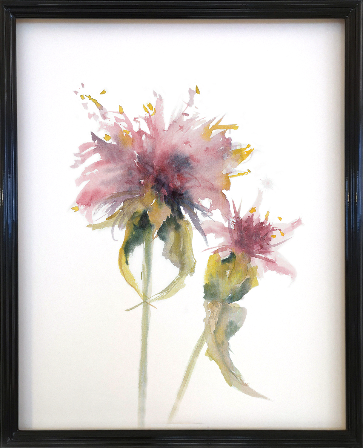 Cynara Rosa I | acuarela