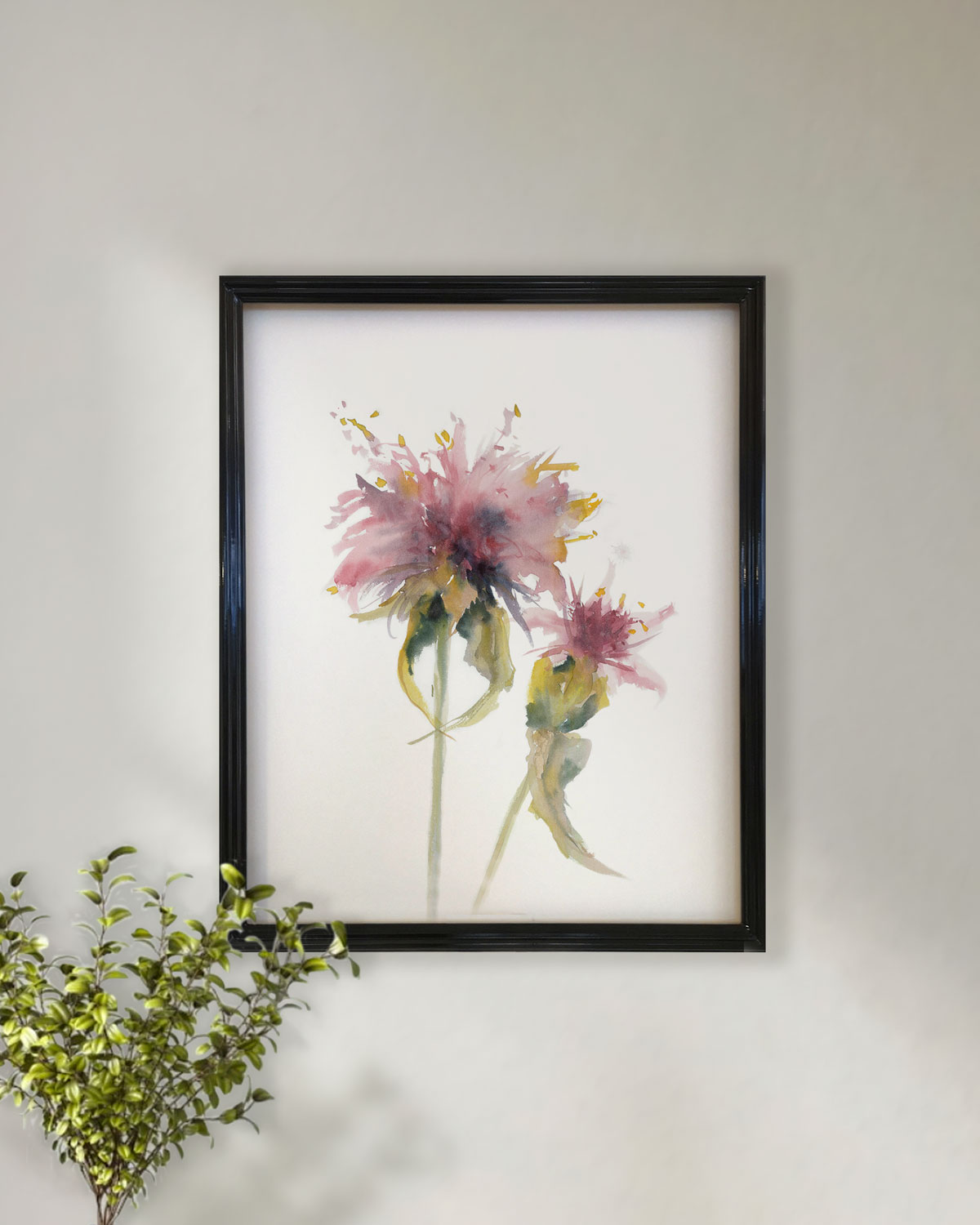 Cynara Rosa I | acuarela