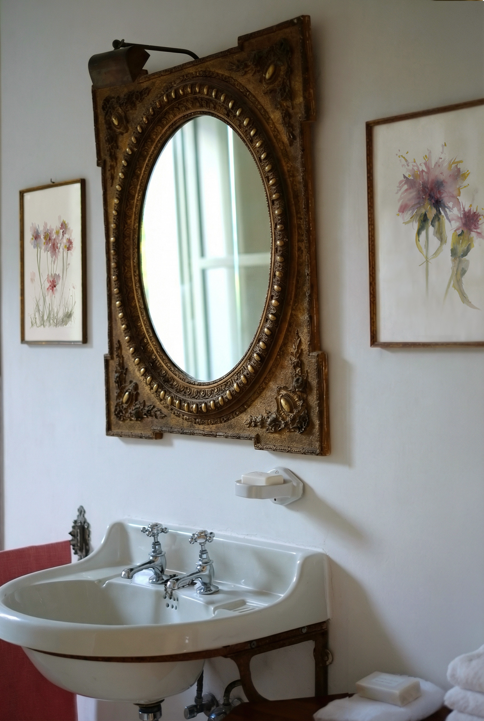 Cynara Rosa - 2 | acuarela