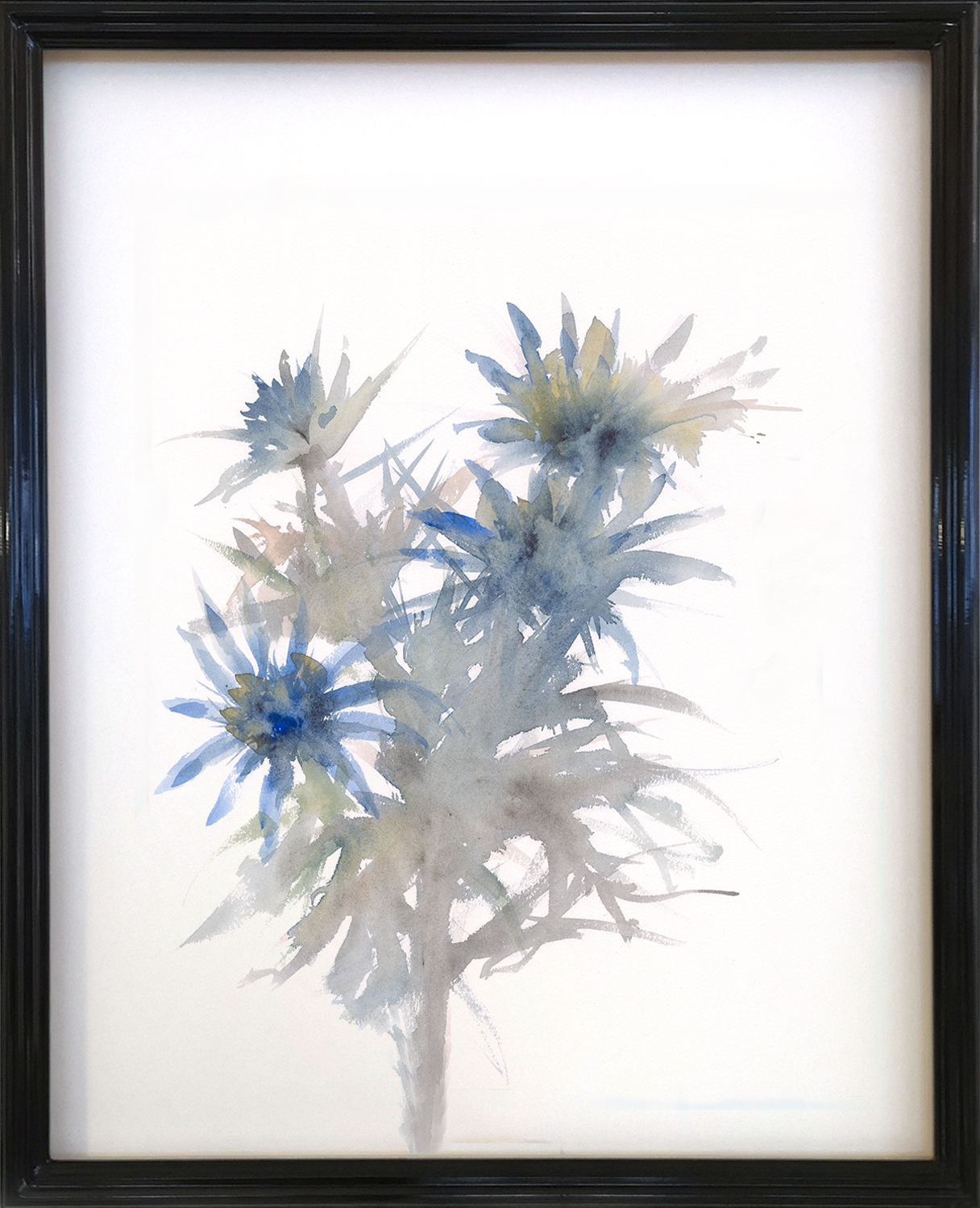 Cynara blue