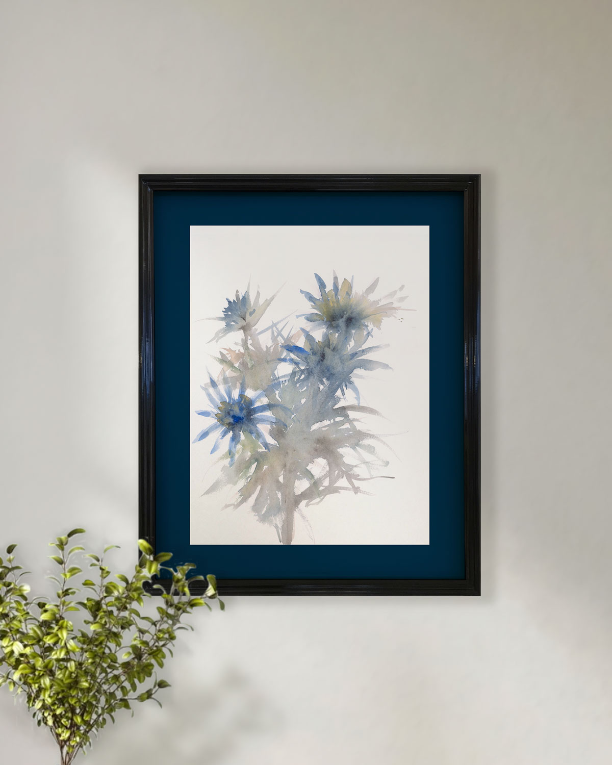 Cynara blue