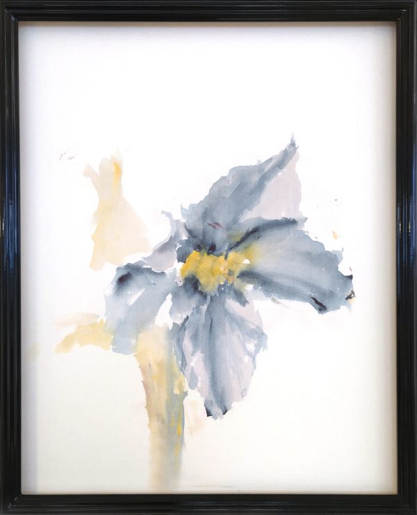 Alstroemeria | acuarela