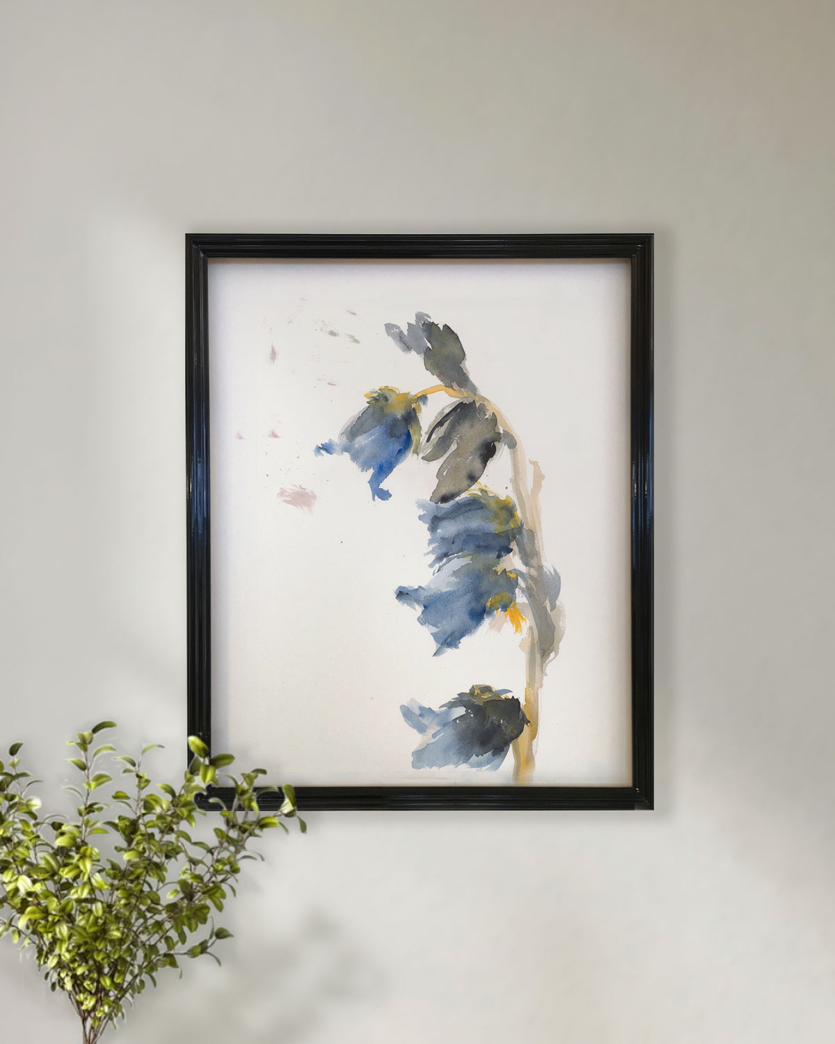 Lamina "Lirio Llorón"