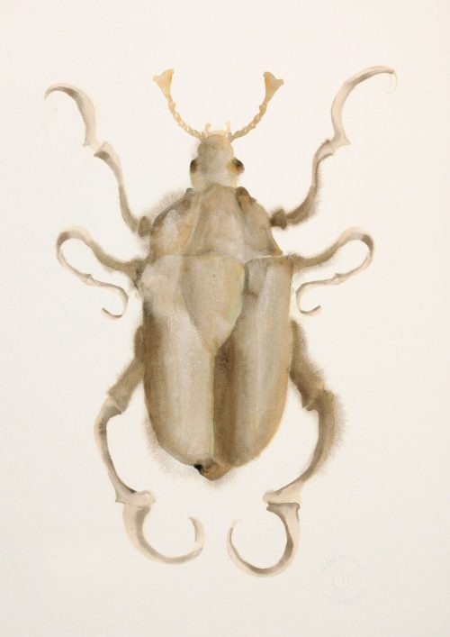 Lámina “SCARABEO” pintada a mano sobre papel natural 100% algodón de 200gr.