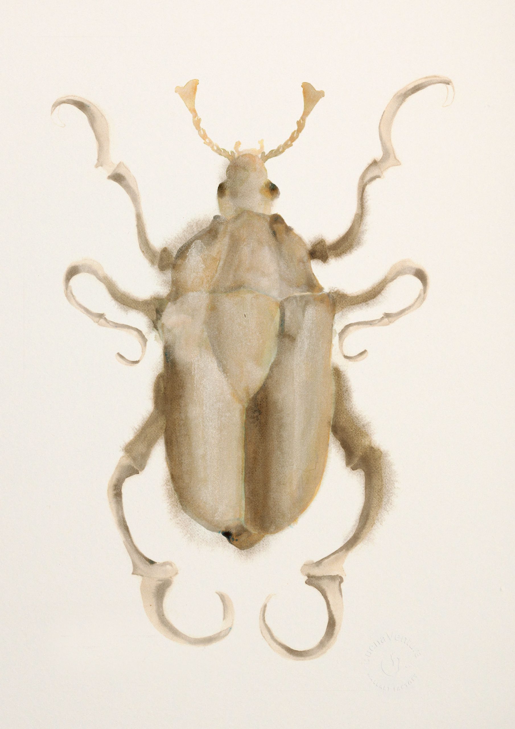 Lámina “SCARABEO” pintada a mano sobre papel natural 100% algodón de 200gr.