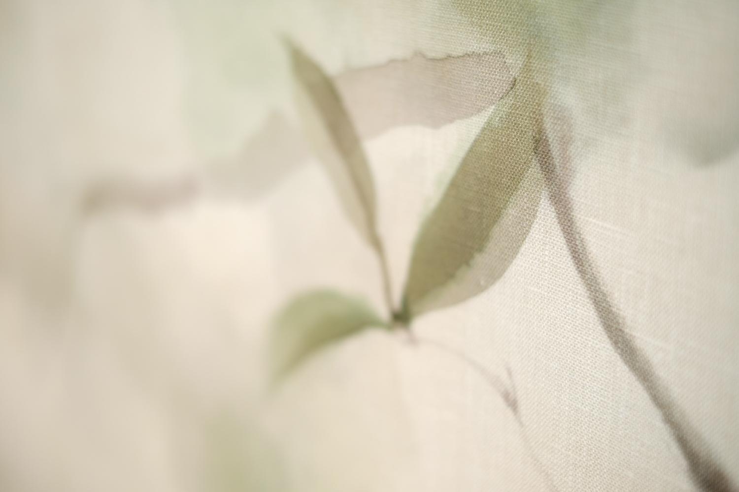 Magnolio