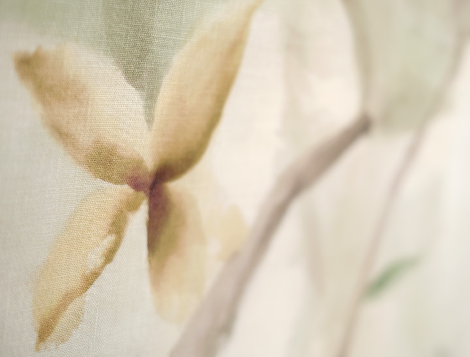 Magnolio