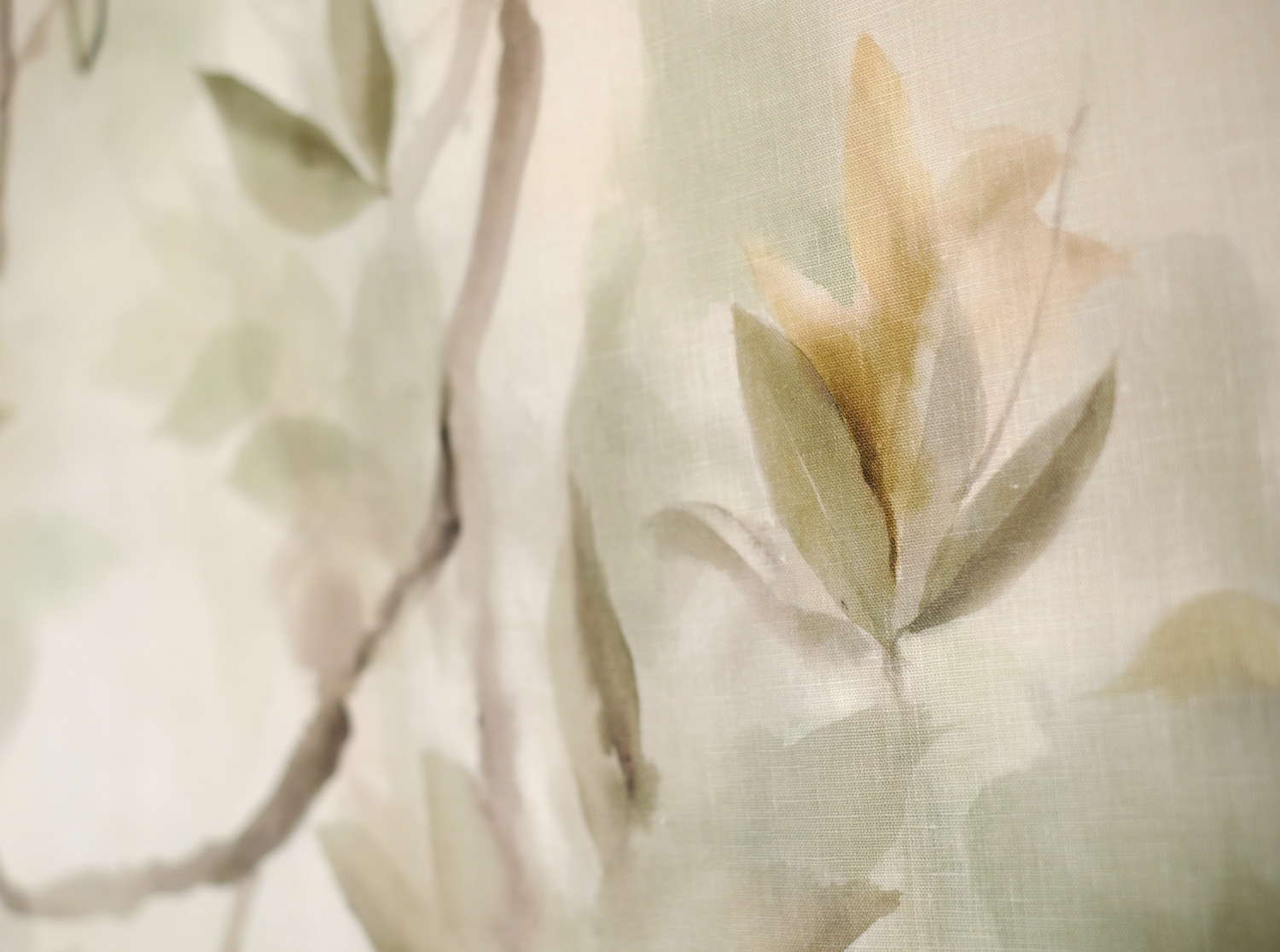Magnolio