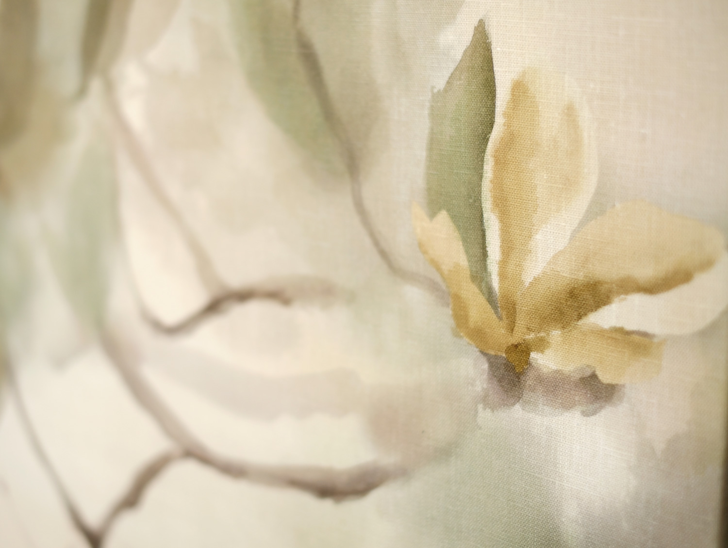 Magnolio